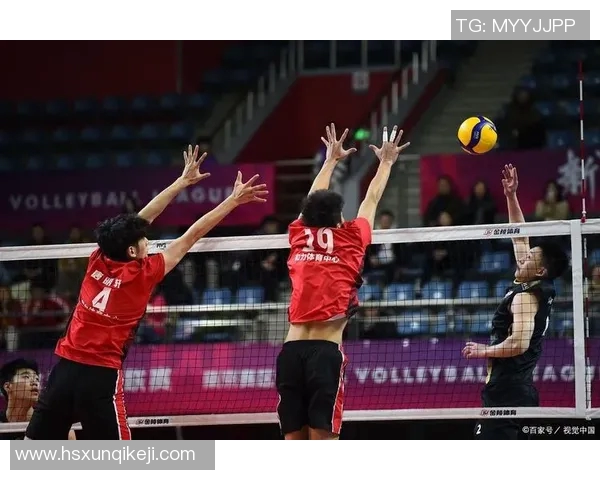 杨芳独家分享排球心得与技巧助你提升球技的秘诀与经验实时数据